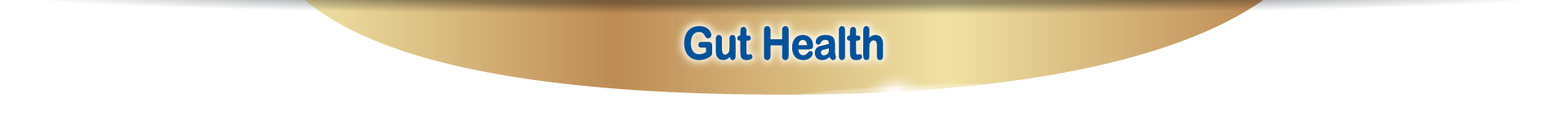 Gut Health