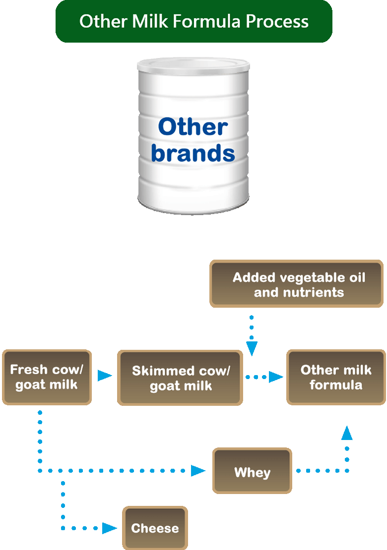 Other Milk Formula Process