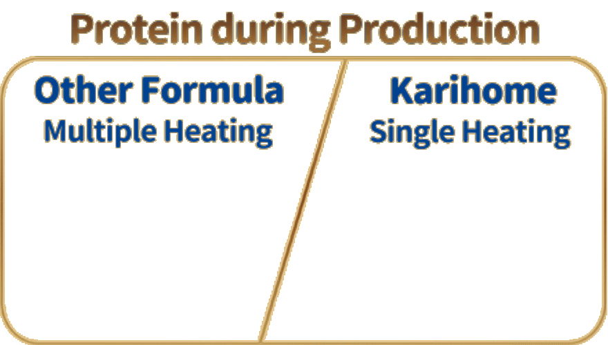 Protein during Production