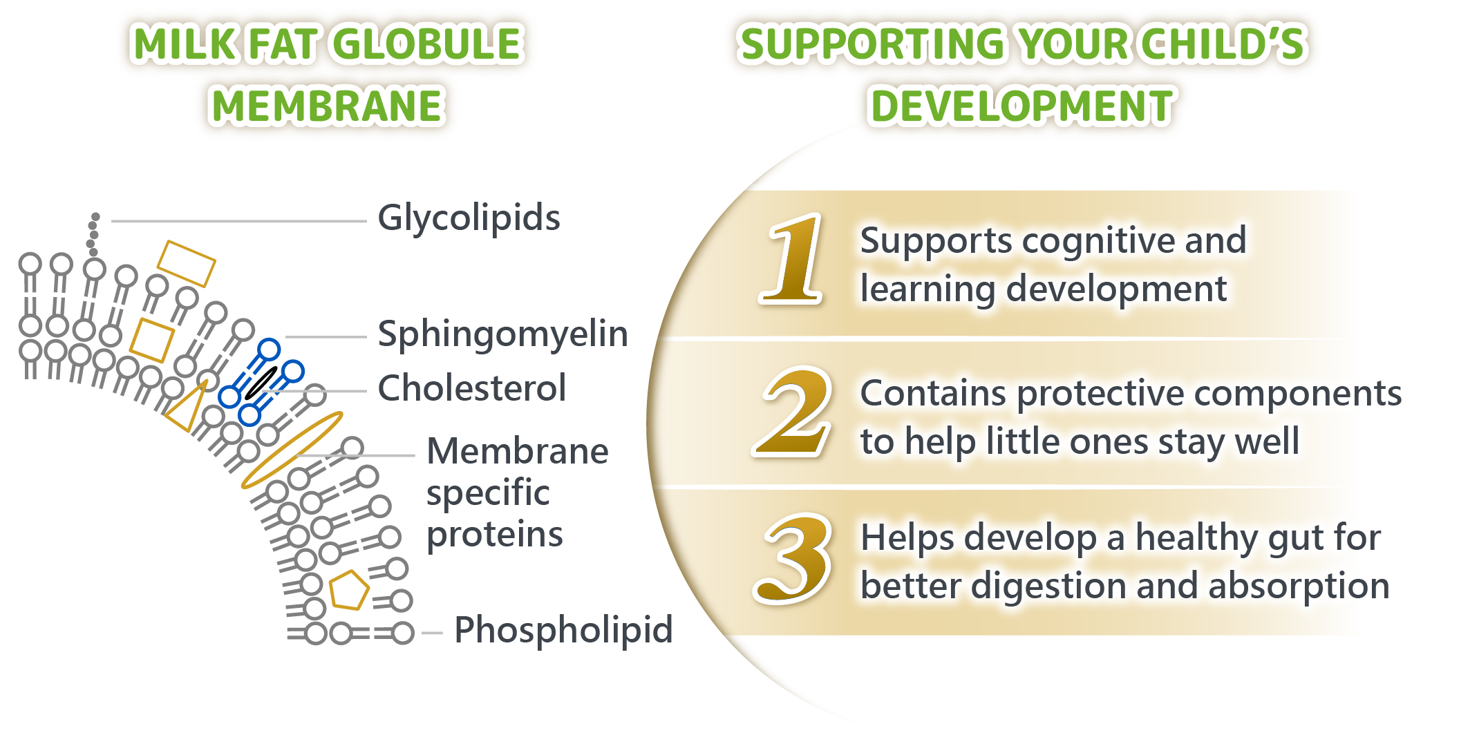 SUPPORTING YOUR CHILD'S DEVELOPMENT